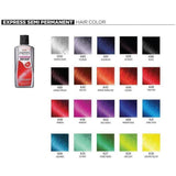 Kiss Express Semi Permanent Hair Color - 3.5oz - Barber World